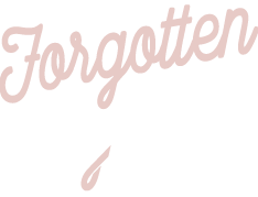 Forgotten Fighters
